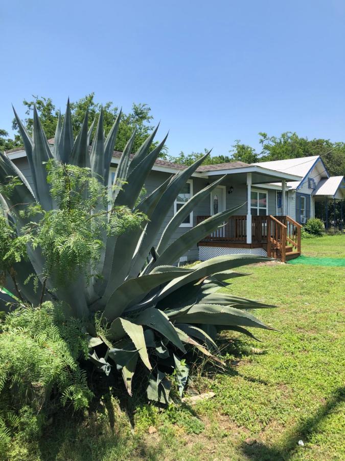 Downtown Contemporary Yet Cozy Fun Villa San Antonio Bagian luar foto