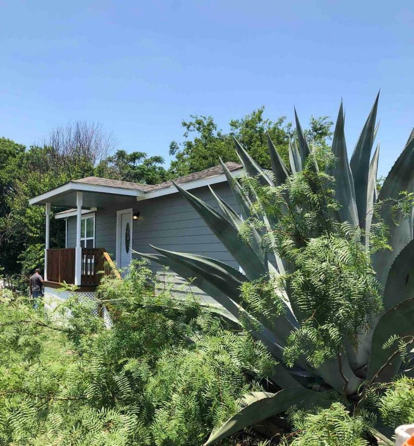 Downtown Contemporary Yet Cozy Fun Villa San Antonio Bagian luar foto